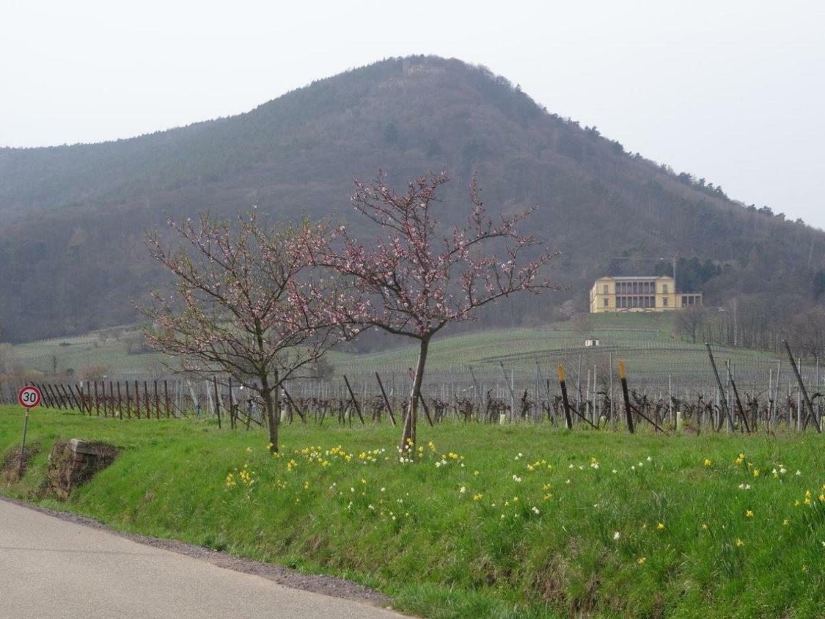 Phönix aus der Asche Rhodt unter Rietburg Exterior foto