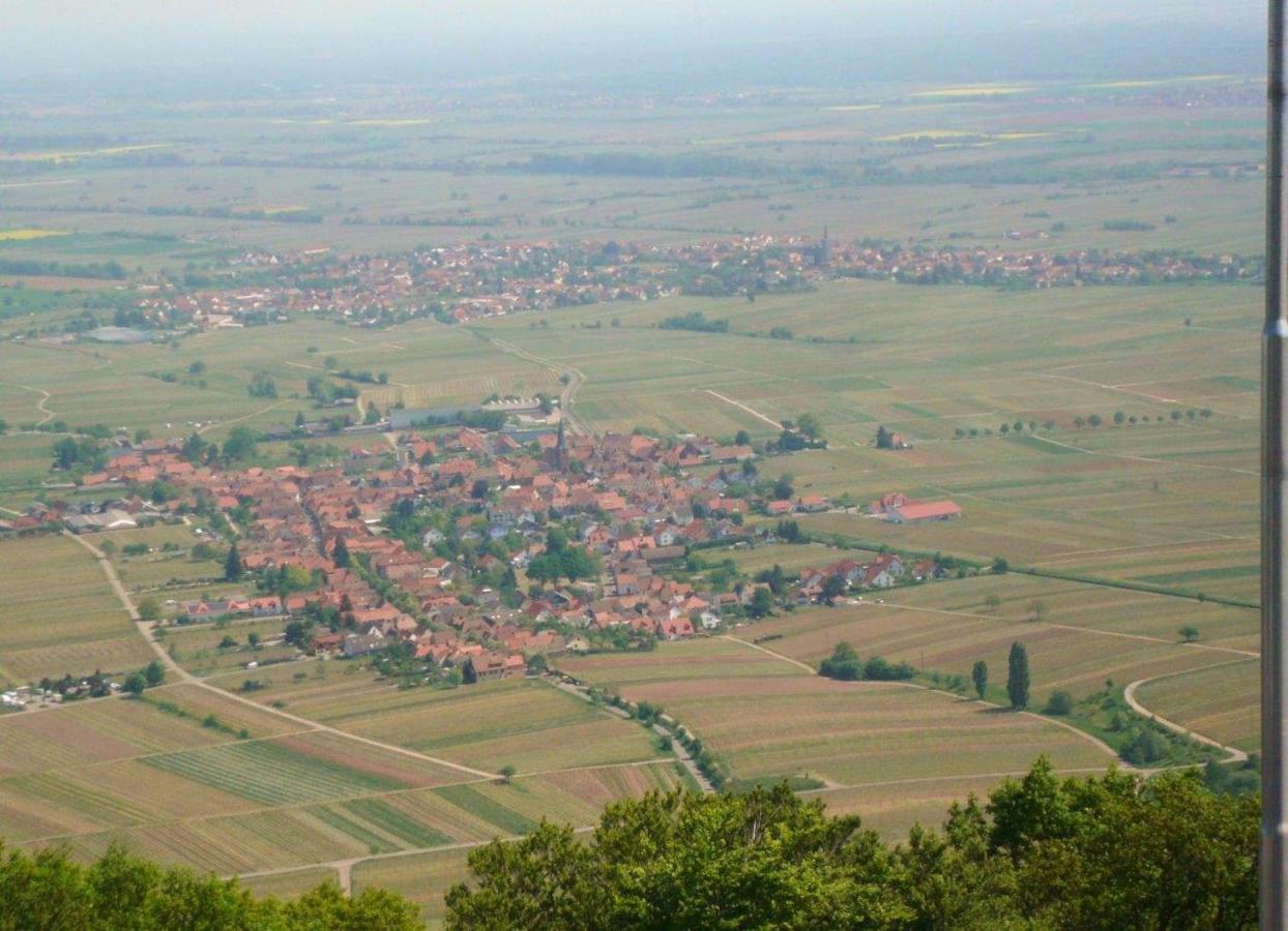 Phönix aus der Asche Rhodt unter Rietburg Exterior foto
