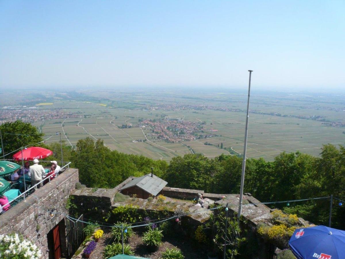 Phönix aus der Asche Rhodt unter Rietburg Exterior foto